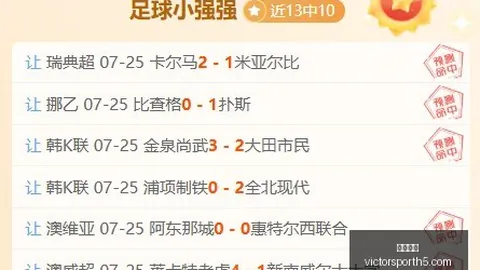 胜利体育 073848